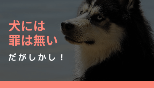 しかし‥maneoのコシオ（犬）案件はひどいな‥不動産畑出身で「何」を評価してきたのか